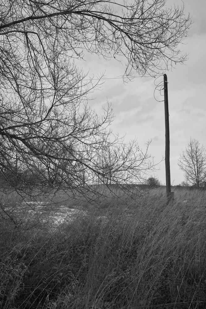 Photograph by Сергей Анисимов