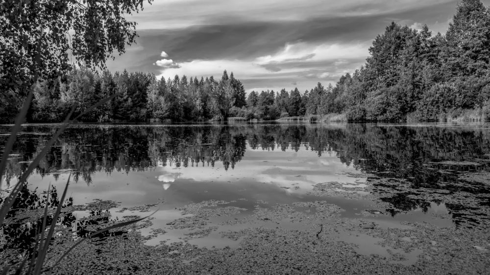 Photograph by Юрий Бичеров