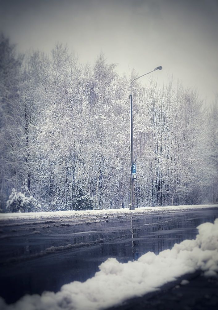 Photograph by Volga Shishko