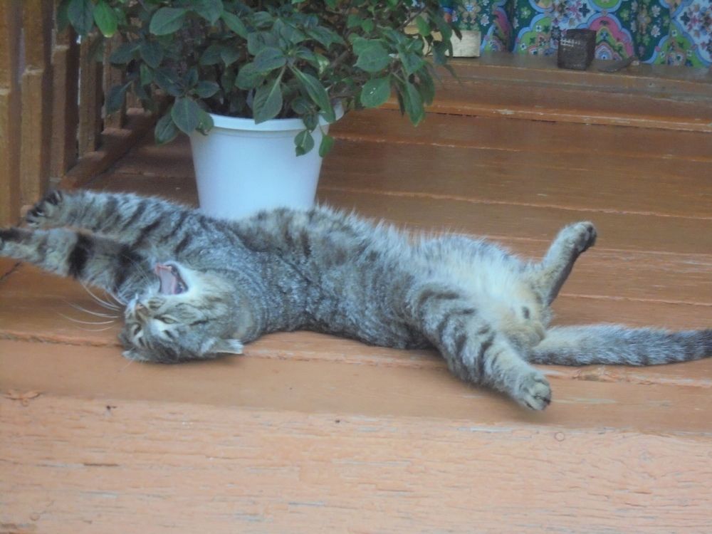 Photograph by Лилия Исхакова