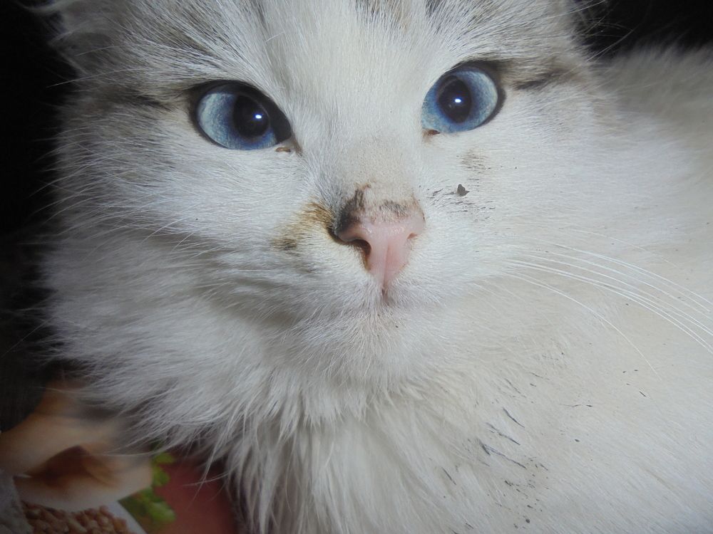 Photograph by Лилия Исхакова