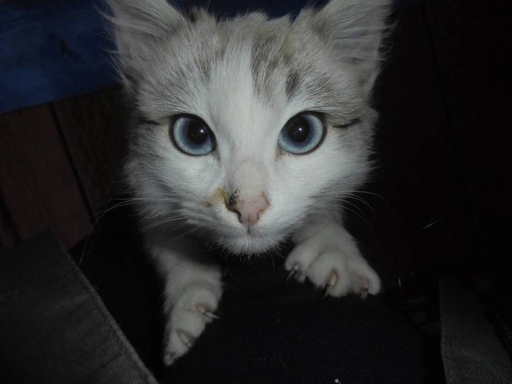 Photograph by Лилия Исхакова