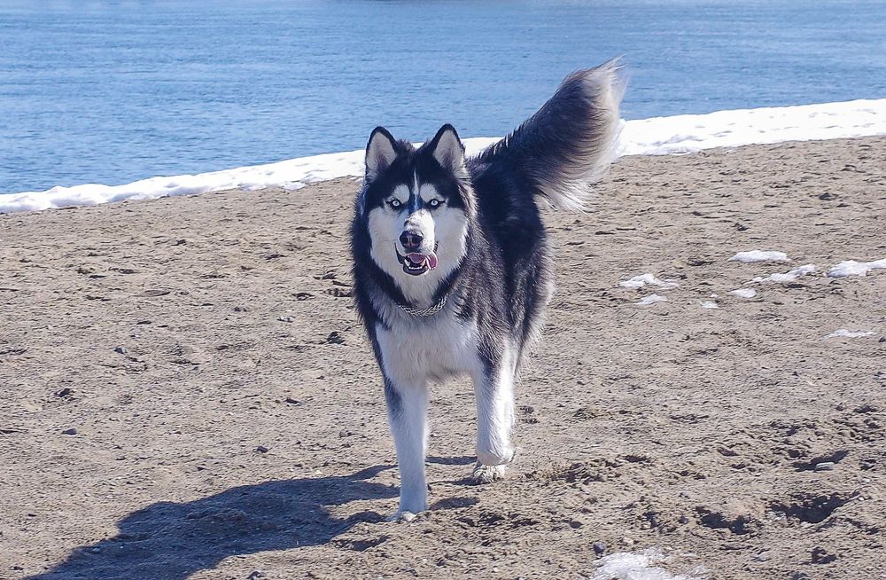 Photograph by Михаил Измайлов