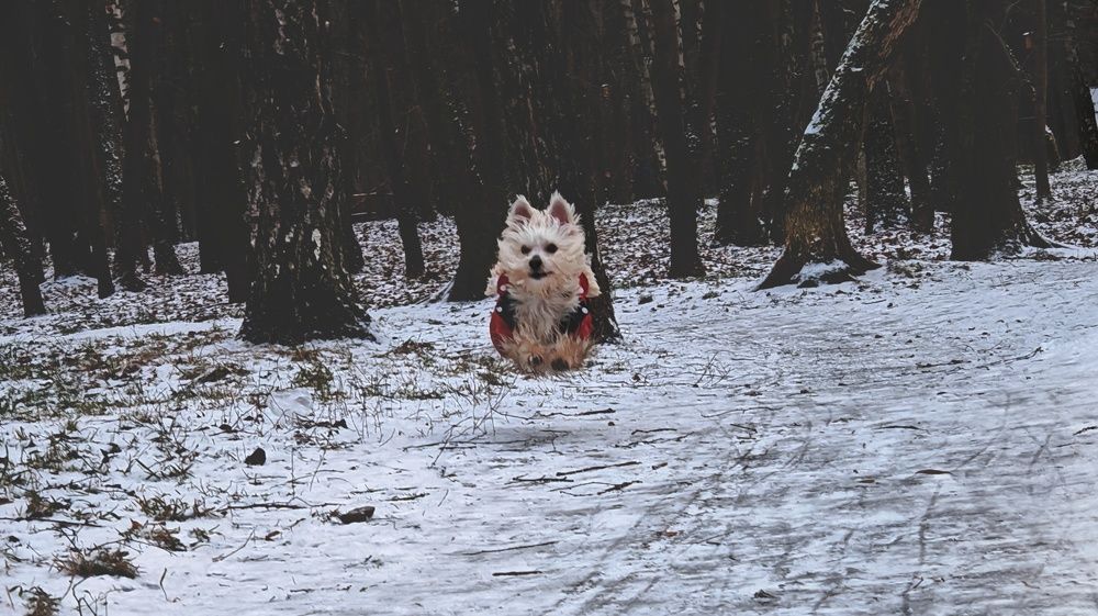 Фотография автора Aliaksandr Kazhdan