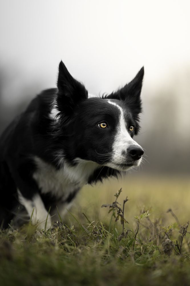 Photograph by ALESSIA ROSSI