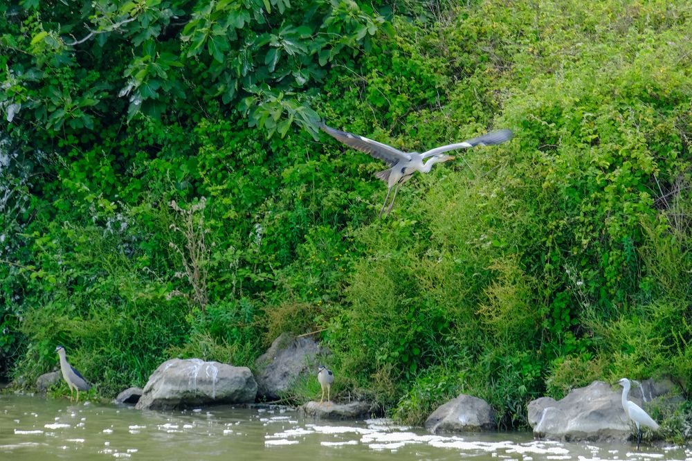 Photograph by Айдын Мехтиев