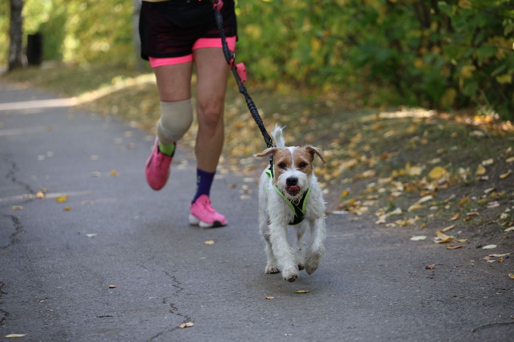 Фотография автора Иван Безрядин