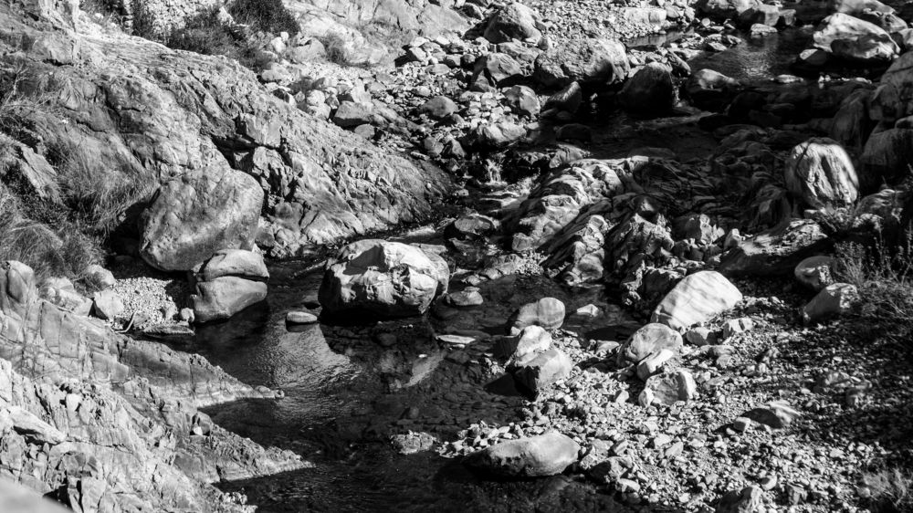 Фотография автора savitri Rawat