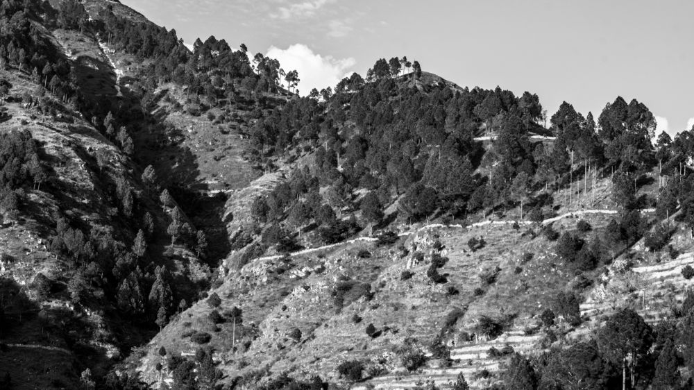 Фотография автора savitri Rawat