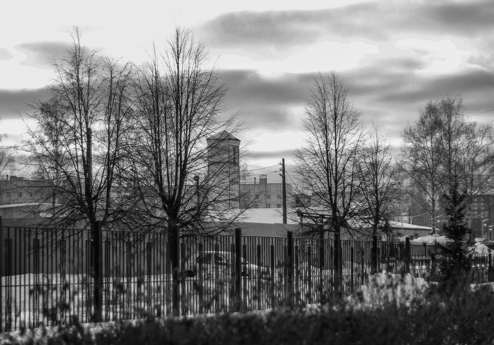 Photograph by Любовь Иванова