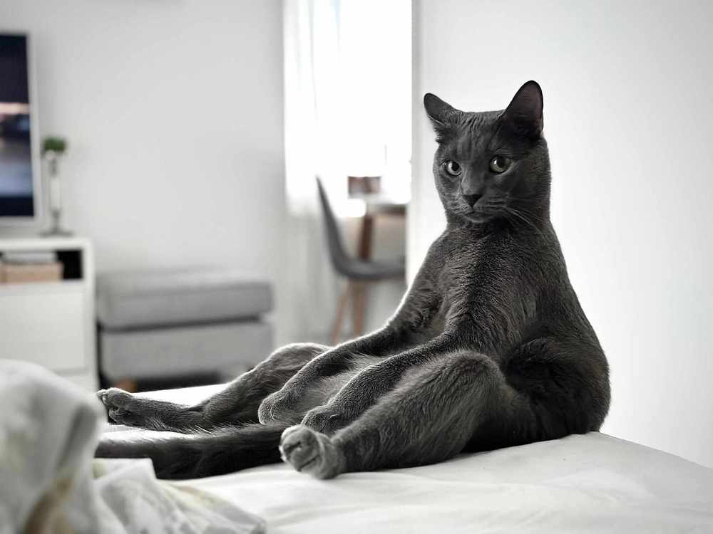 Утро мыслителя