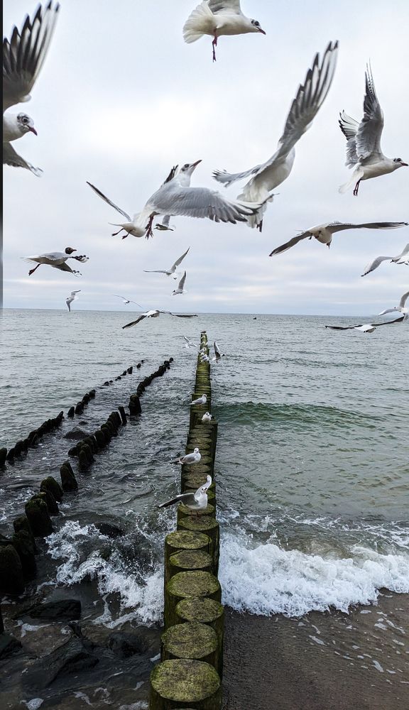 Photograph by Денис Меняк