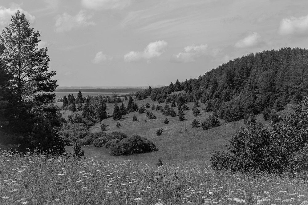 Photograph by Любовь Иванова