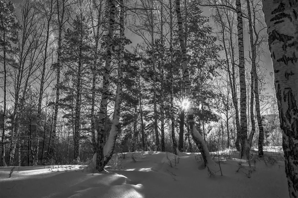 Photograph by Пушкин Сергей