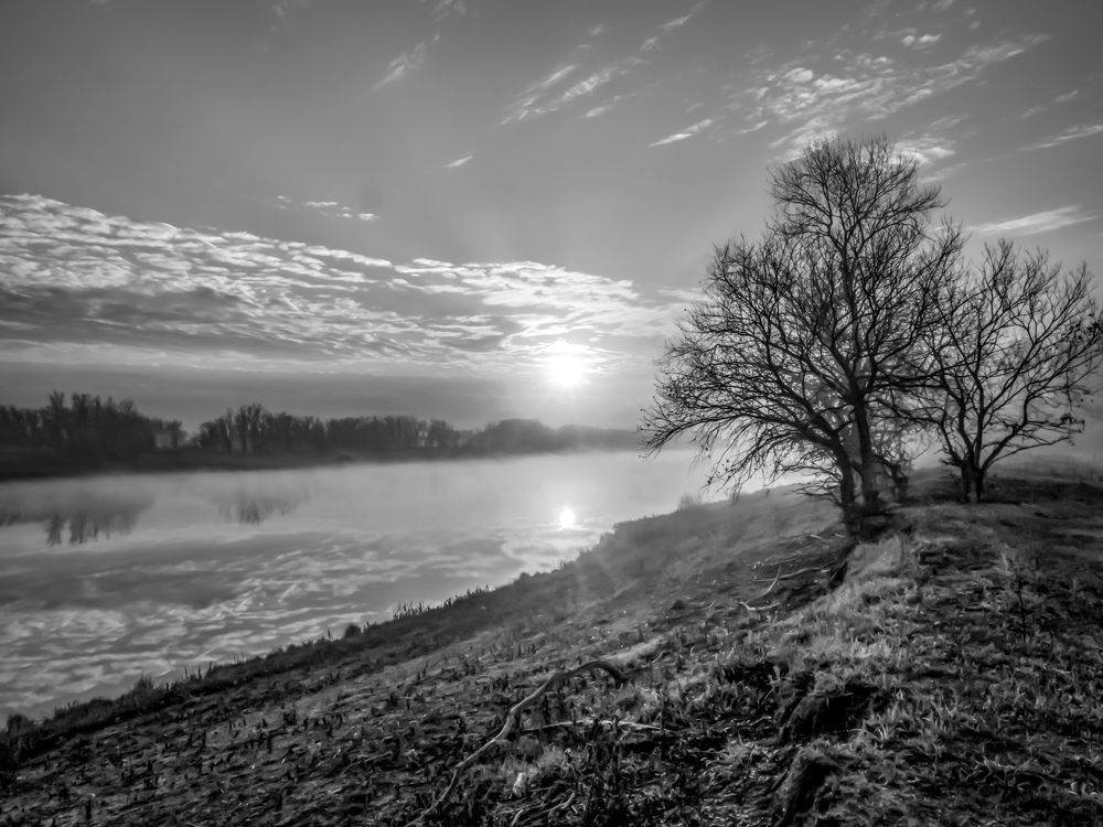 Photograph by Denis Polushin