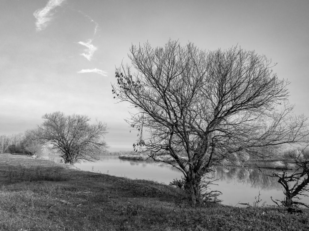 Photograph by Denis Polushin