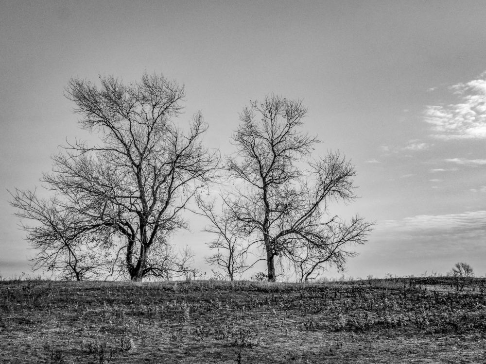 Photograph by Denis Polushin