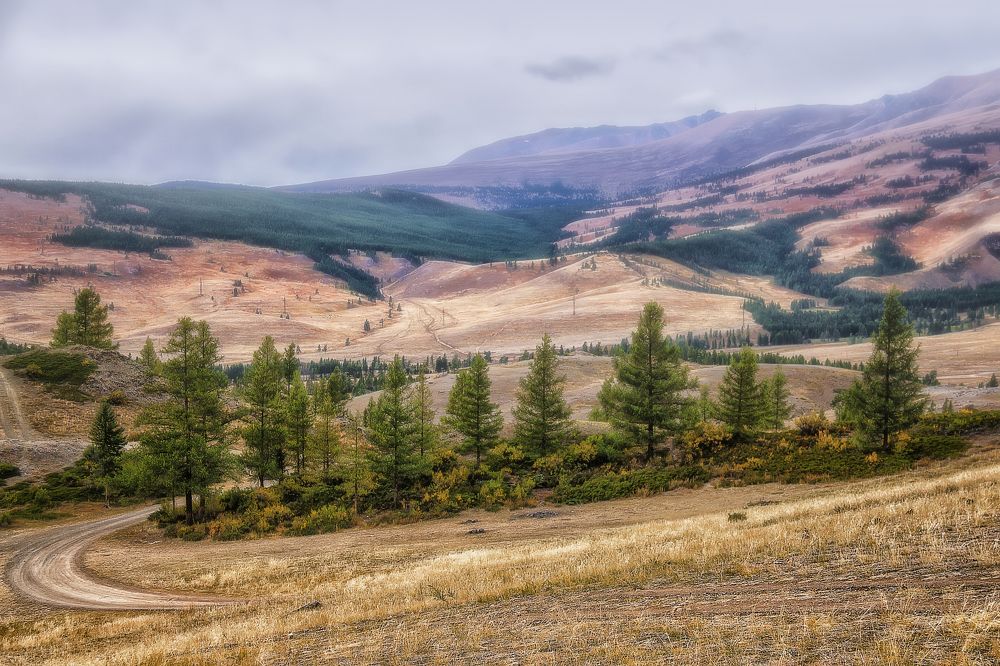 Фотография автора Марина Юдинских