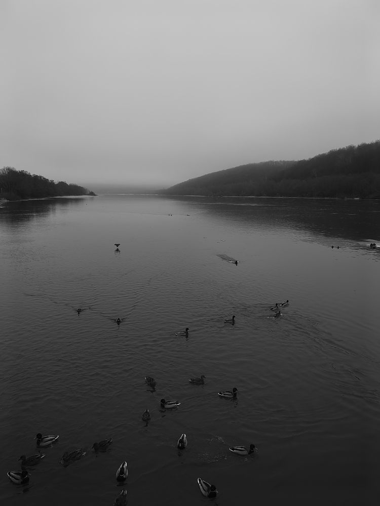Photograph by Ольга Карева