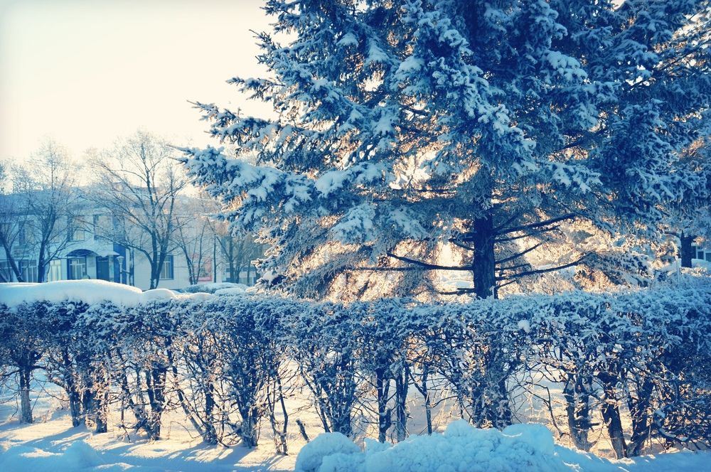 Photograph by Мария Усинова