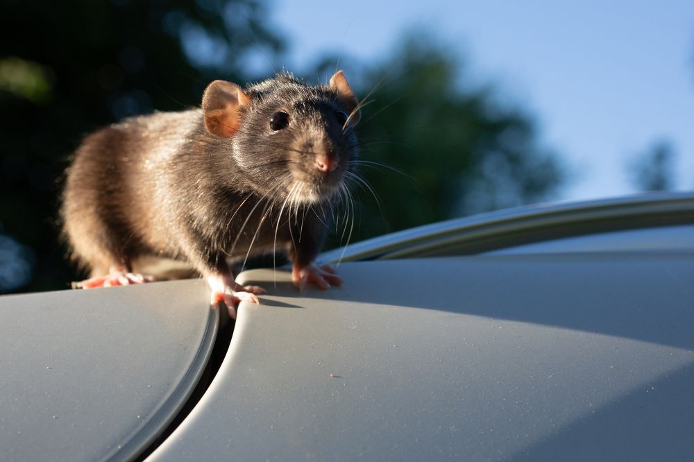 Photograph by Максим Никитин