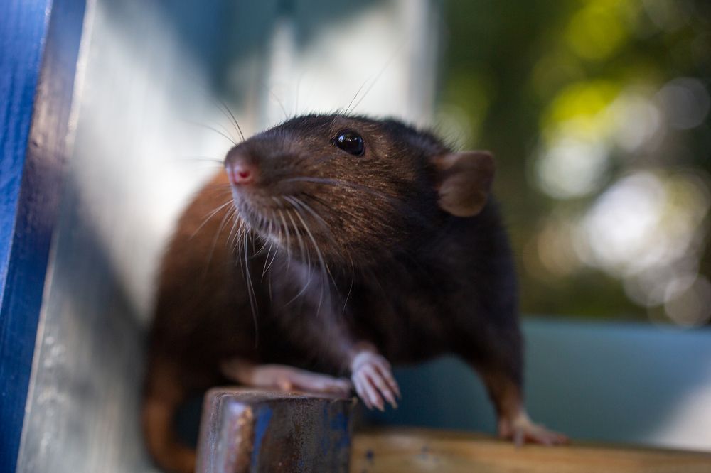 Photograph by Максим Никитин