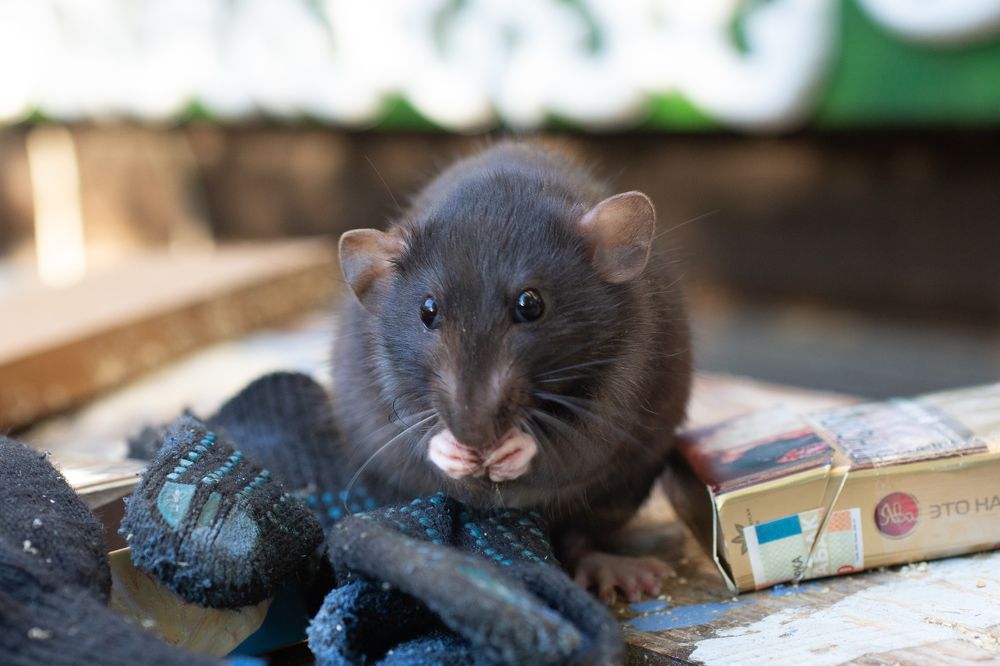 Photograph by Максим Никитин