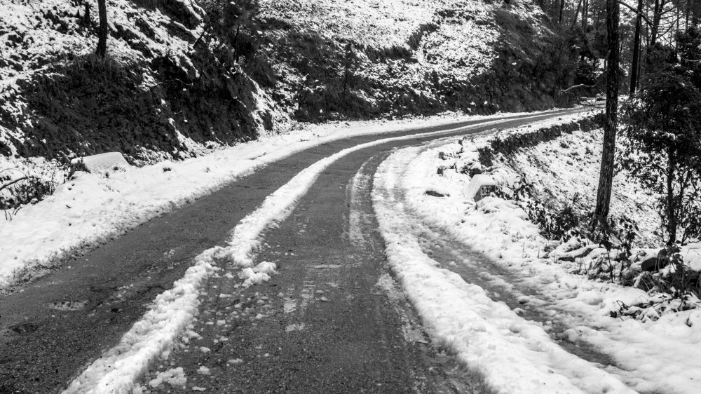 Фотография автора savitri Rawat