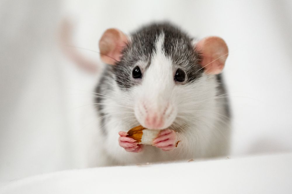 Photograph by Максим Никитин