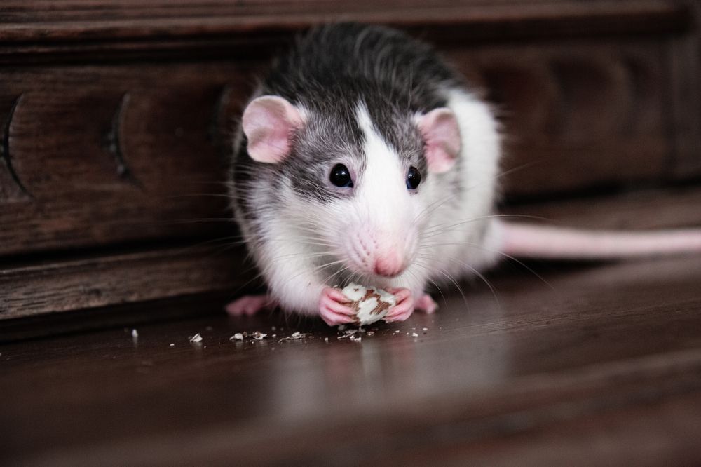 Photograph by Максим Никитин