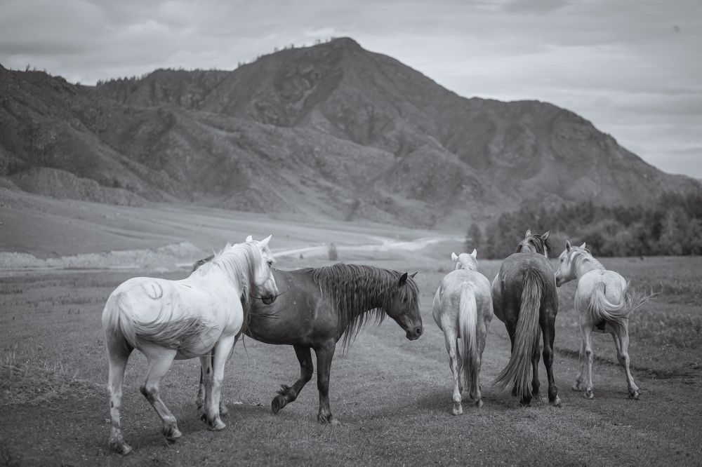 Photograph by Maxim Petrovsky