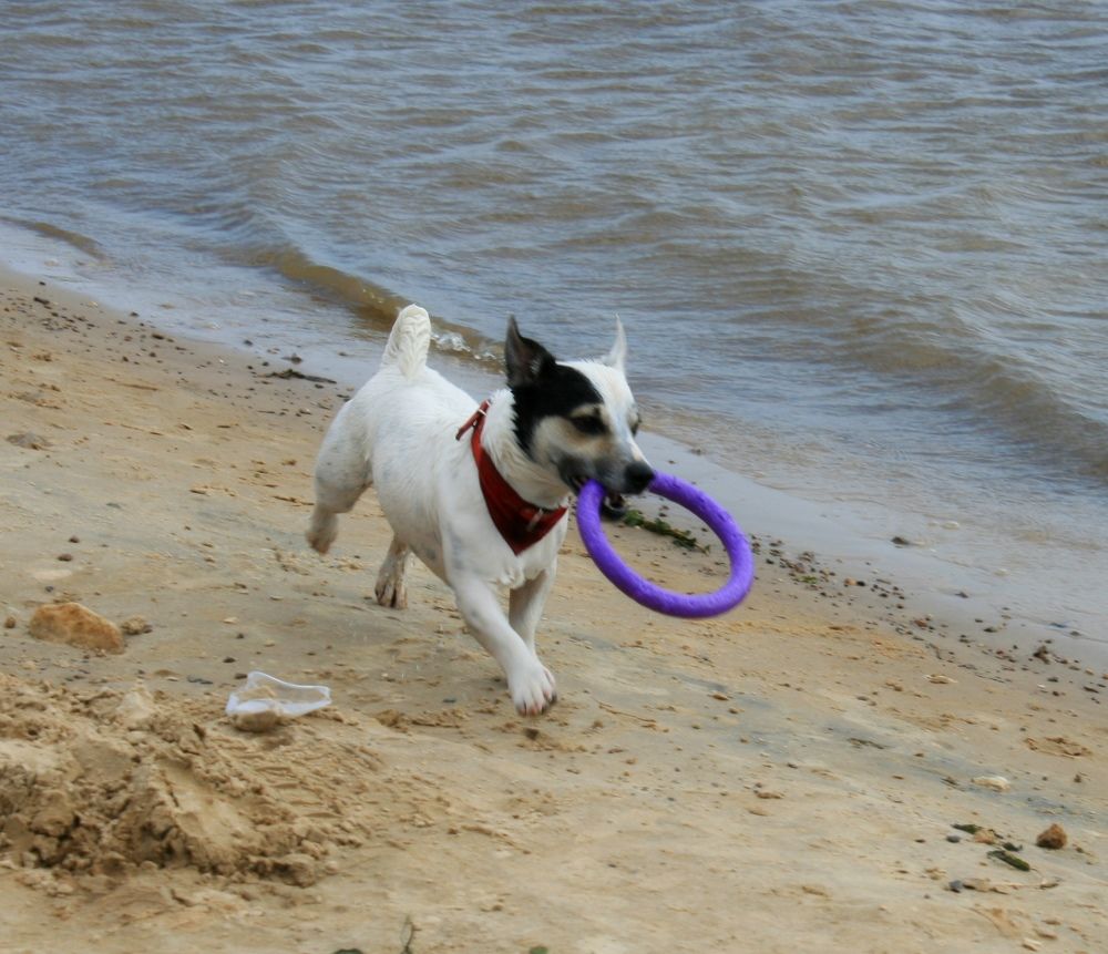 Photograph by Татьяна Кунц