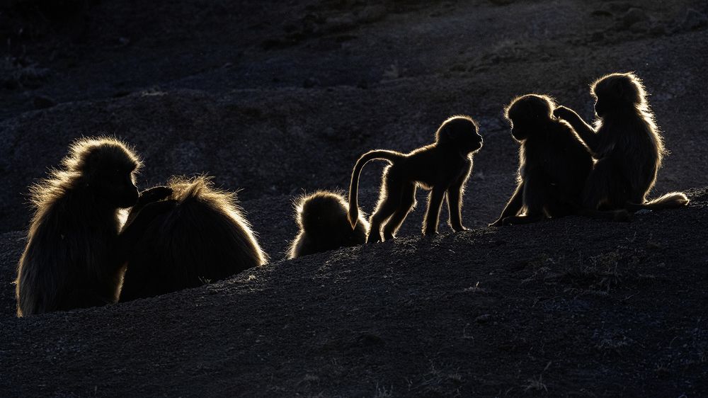 Фотография автора MARIAN PLAINO