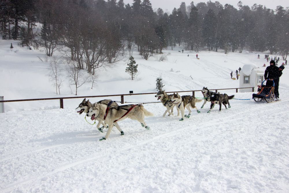 Photograph by Роман Якута