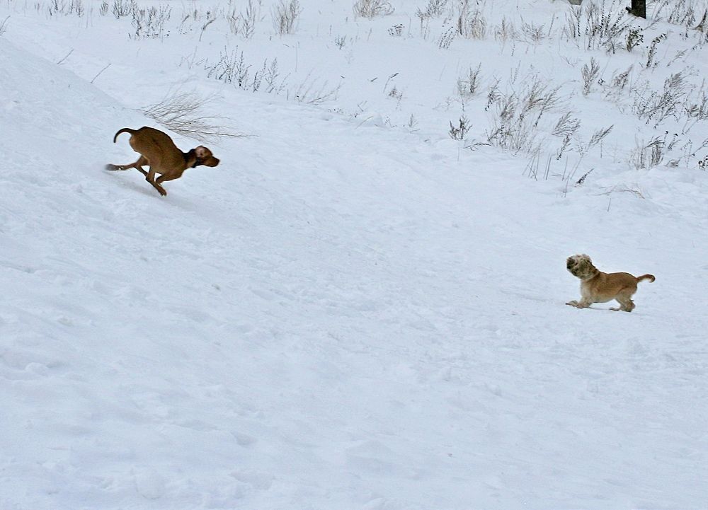 Photograph by Татьяна Кунц