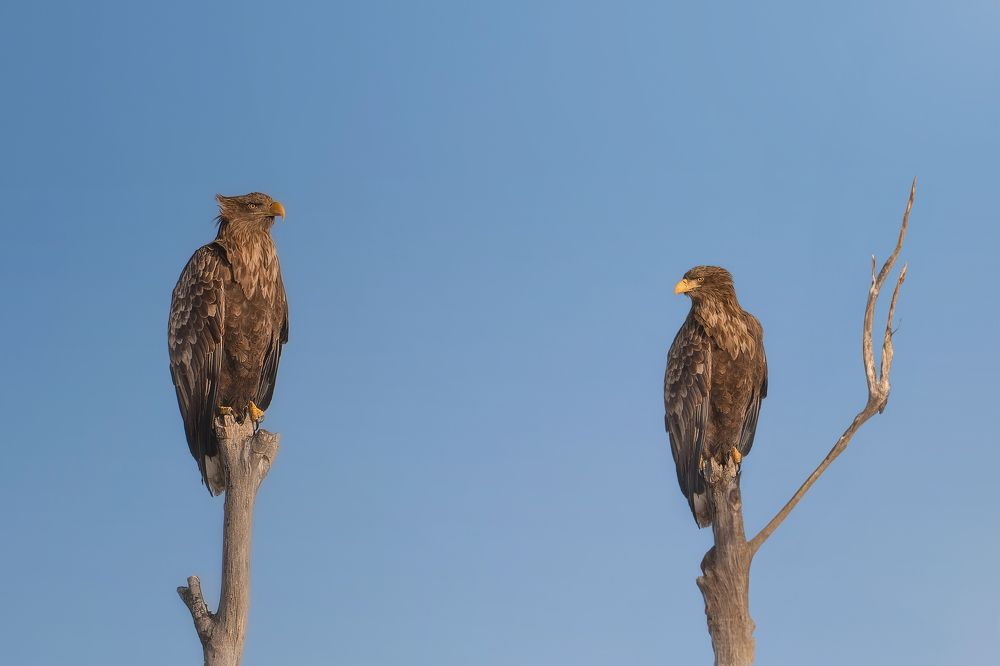 Photograph by Nephotograph