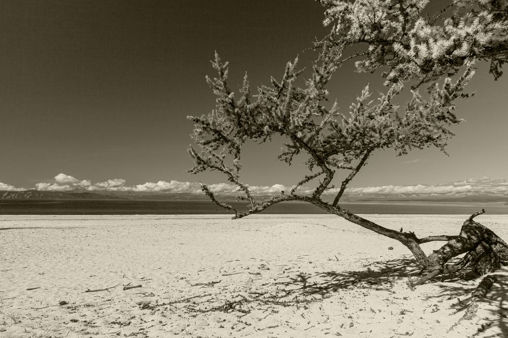 Photograph by Денис Дорошенко