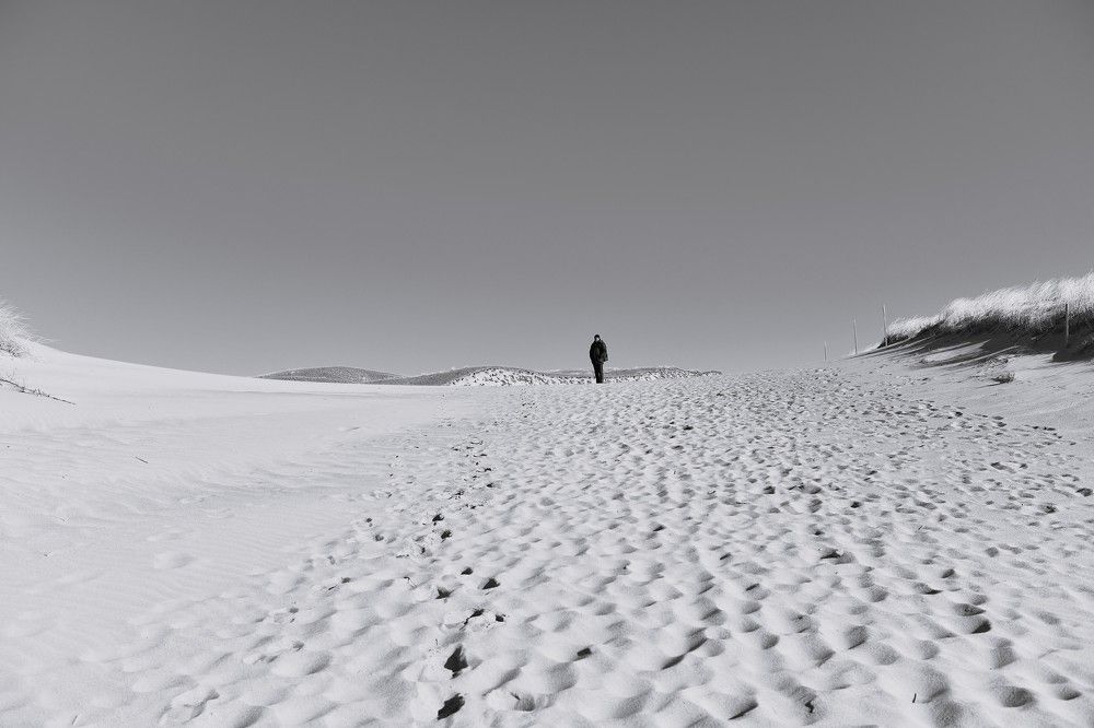 На кромке дюны