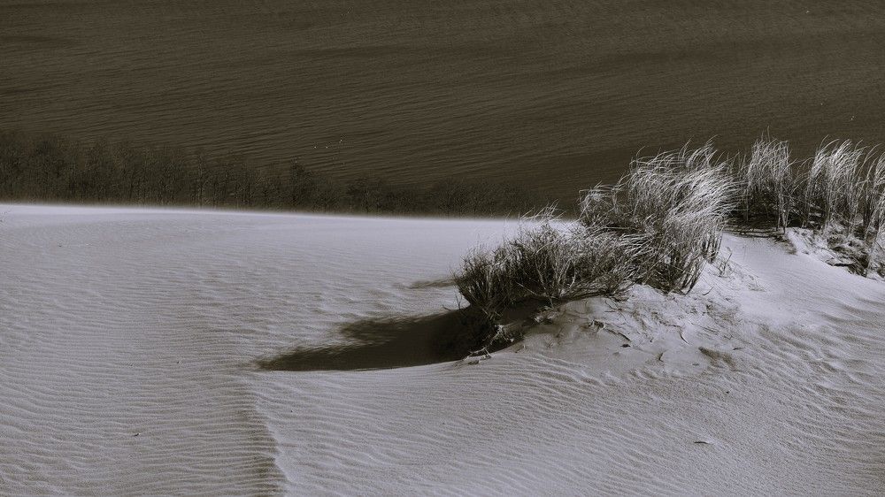 Поземка на Курской косе