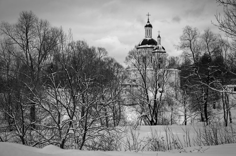 Photograph by Михаил Косолапов