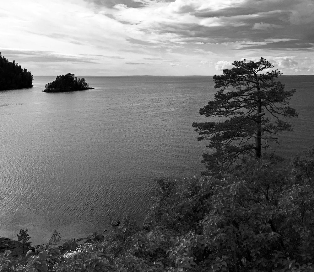 Фотография автора Рожнов Кирилл