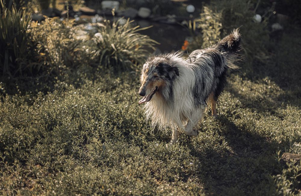 Photograph by  Мария