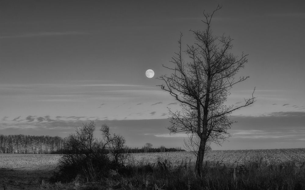 Photograph by Сергей Дишук