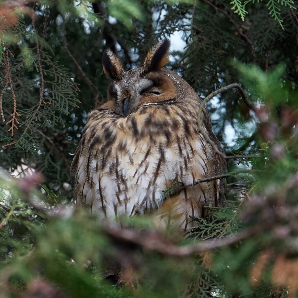 Photograph by Yaroslav