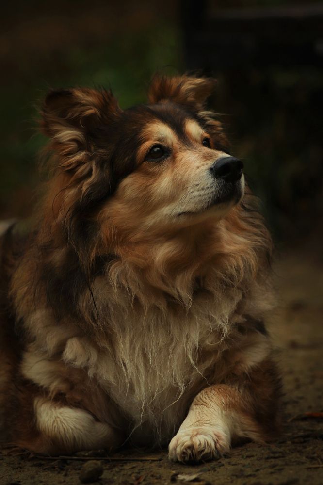 Photograph by Анна Дубинина