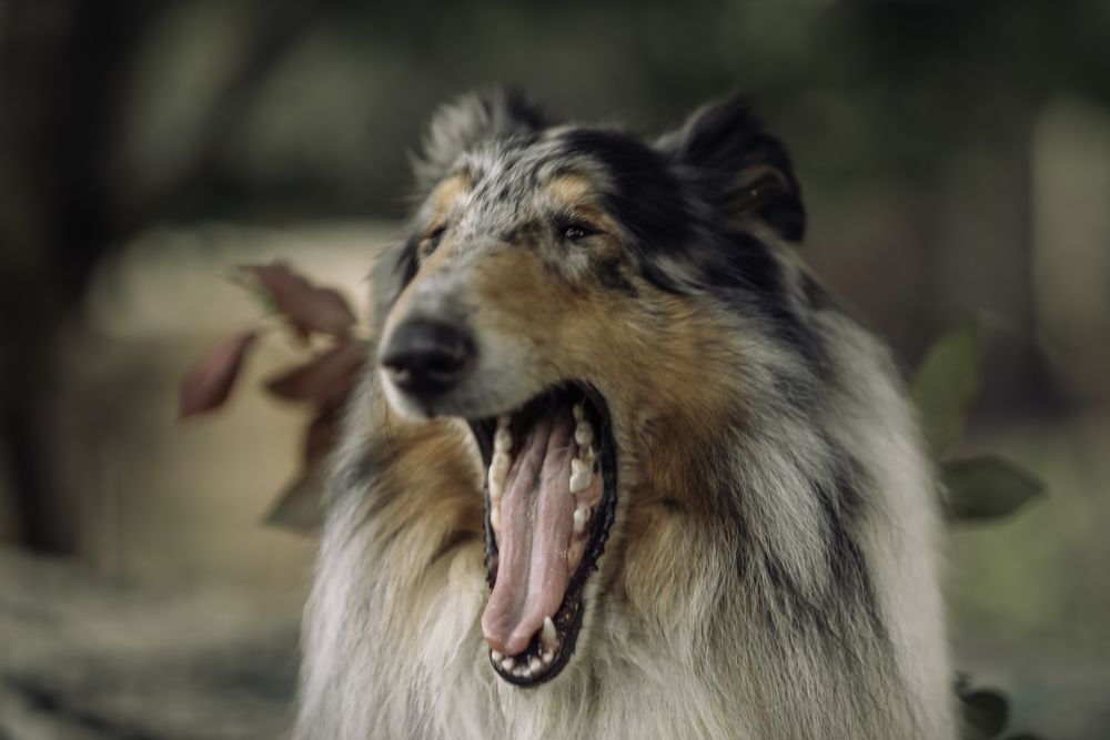 Photograph by  Мария