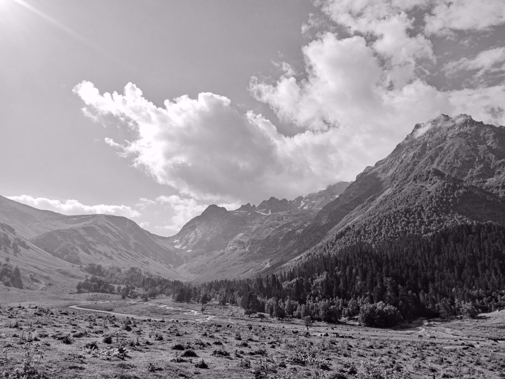 Photograph by Галина Григорьева