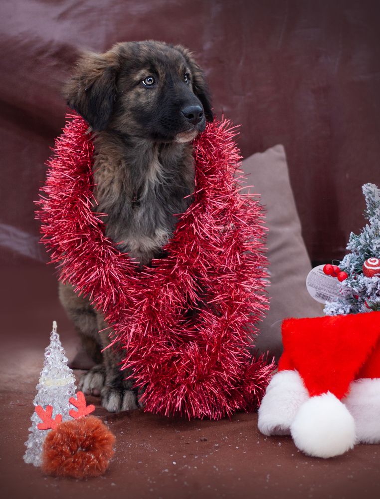 Photograph by Елена Иванова