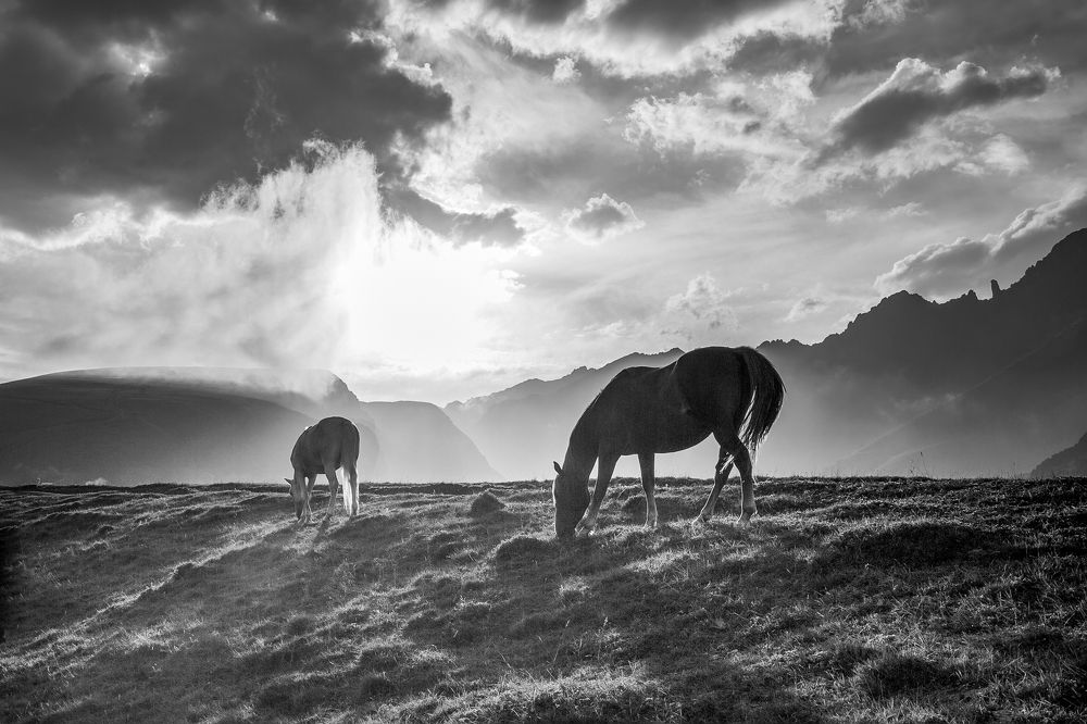 Photograph by Евдокимов Сергей