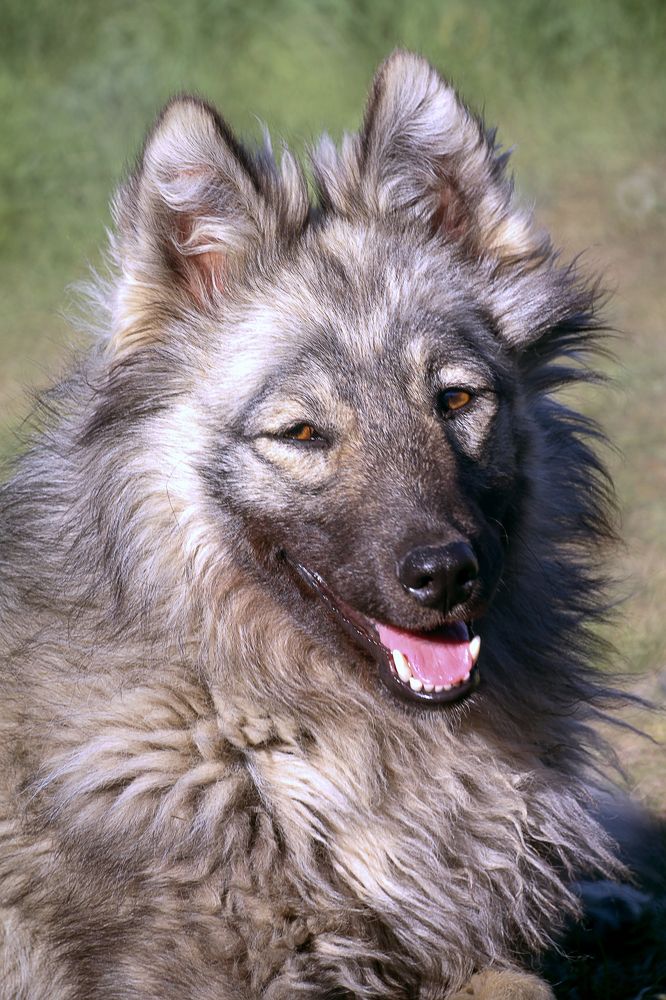 Photograph by Aleksey Maevskiy